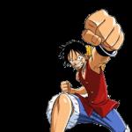 One Piece: Biografija heroja