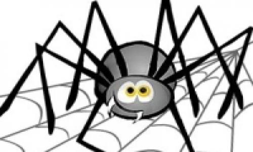 Почему нельзя убивать пауков дома?
