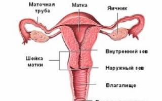 Kakav je iscjedak moguć kod žena tijekom menopauze?