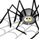 Zašto ne možete ubiti paukove kod kuće?