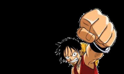 One Piece: Біографія героїв