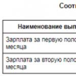 Положение об оплате труда: как составить, образец положения