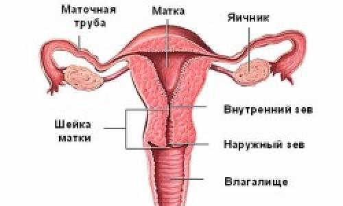 Menopoz döneminde kadınlarda ne tür akıntılar mümkündür?