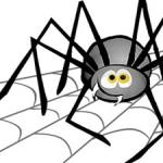 Zakaj pajkov ne morete ubijati doma?