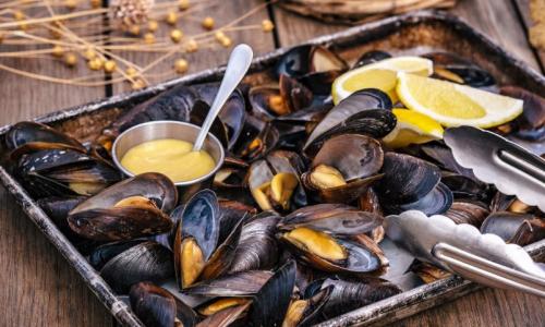 Калорийность мидий и польза морепродуктов при похудении