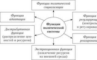 Politinė sistema Politinės sistemos struktūra