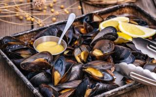 Kaloriinnehåll i musslor och fördelarna med skaldjur för viktminskning